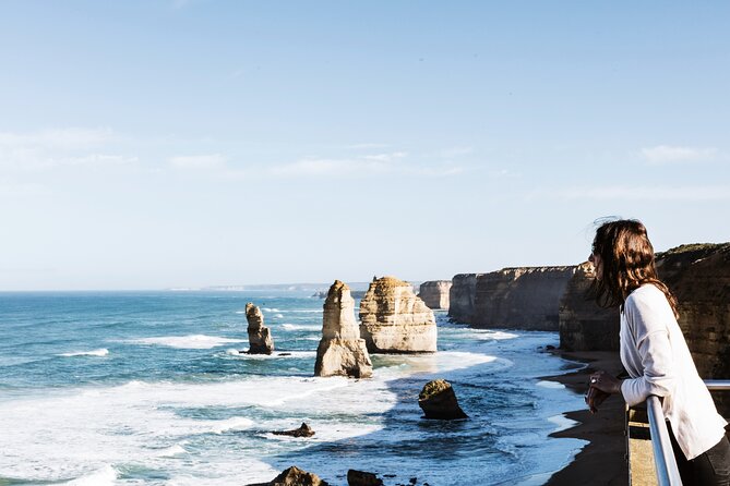 Puffing Billy Steam Train and Penguins Wildlife Tour - The Nobbies and Bass Strait views