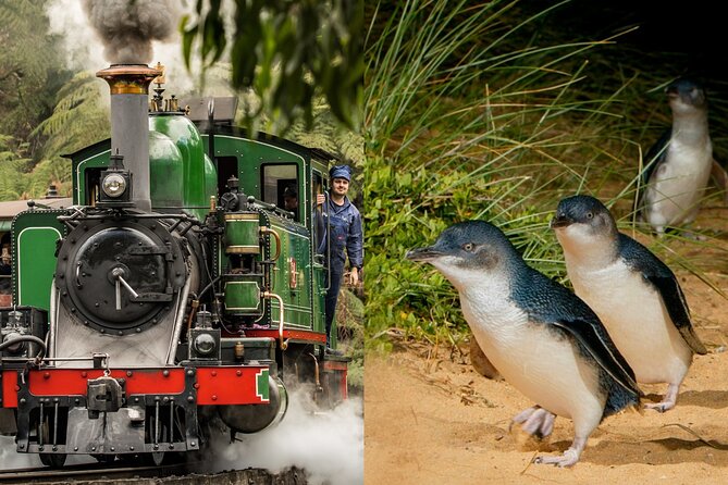Puffing Billy Tour and Penguin Parade from Melbourne - Key points to know before booking