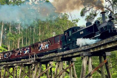 Puffing Billy Tour and Penguin Parade from Melbourne
