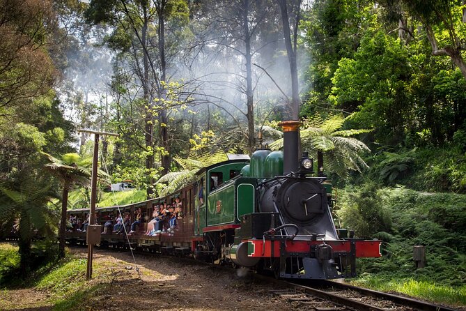 Puffing Billy Tour and Penguin Parade from Melbourne - The midday break in Melbourne