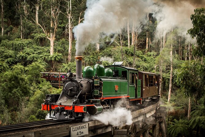Puffing Billy Train and Phillip Island Penguin Parade Day Tour - Quick points before you book