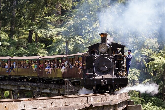 Puffing Billy Train and Phillip Island Penguin Parade Day Tour - Puffing Billy: the happiest hour of the day
