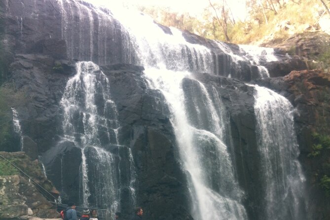 Puffing Billy Train and Phillip Island Penguin Parade Day Tour - How long the day really feels