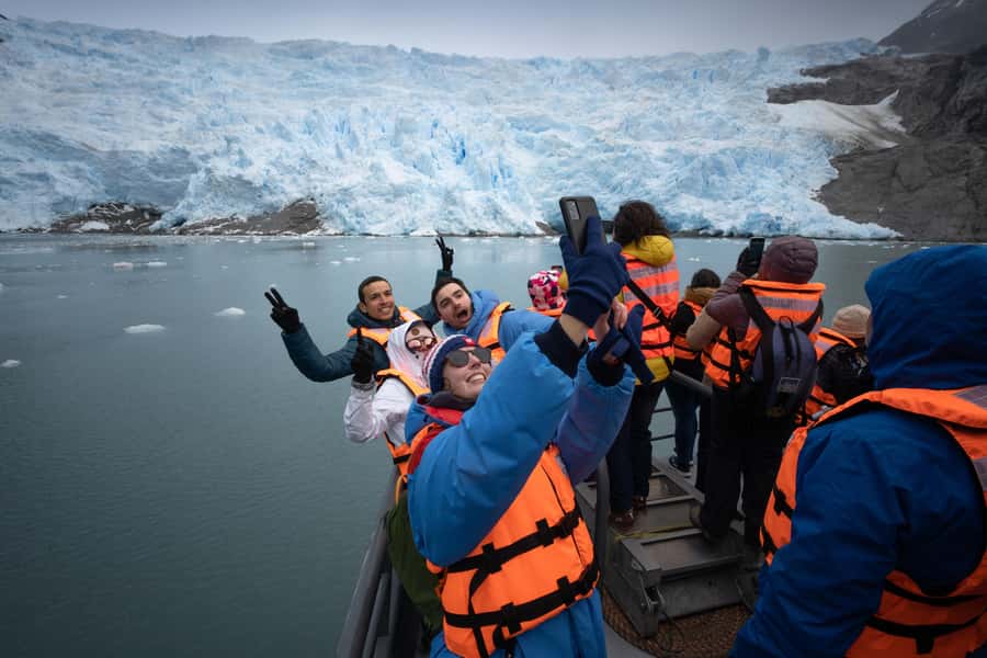 Punta Arenas: Full-Day Whales, Penguins, and Glaciers Tour - The key things to know before you go