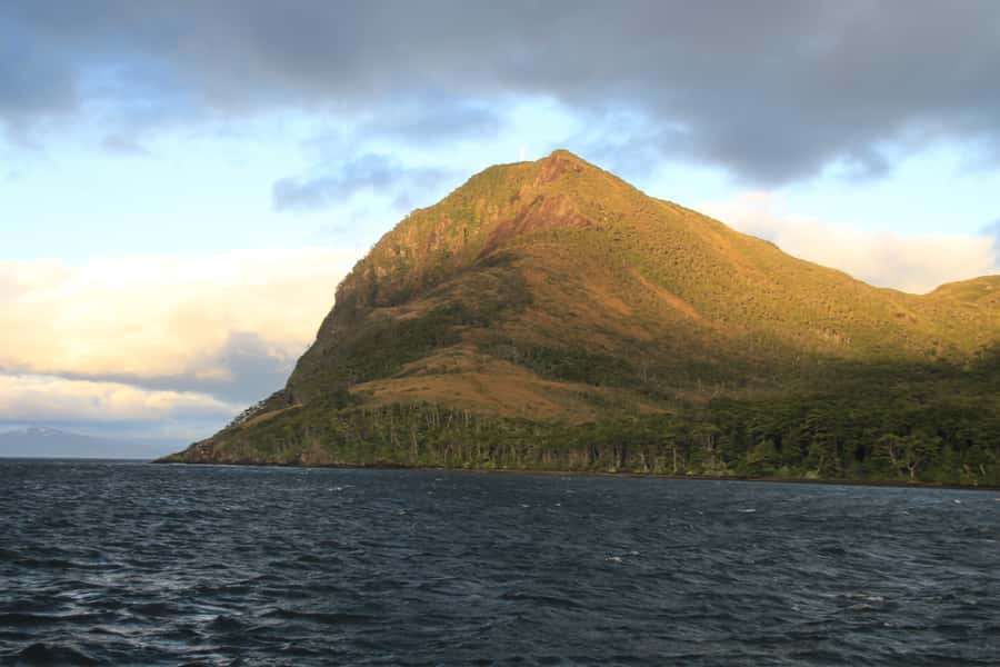 Punta Arenas: Full-Day Whales, Penguins, and Glaciers Tour - Who should book this excursion?