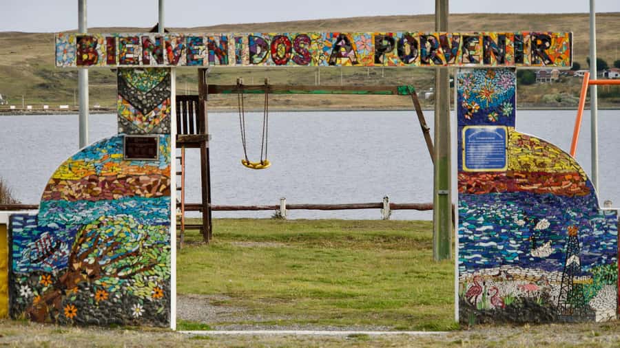 Punta Arenas: King Penguin Park and Tierra del Fuego Trip - Why This Is a Full-Day Expedition