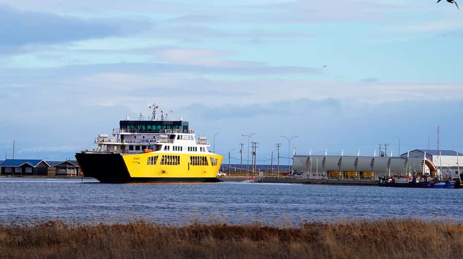 Punta Arenas: King Penguin Park and Tierra del Fuego Trip - Who Should Book This Experience?