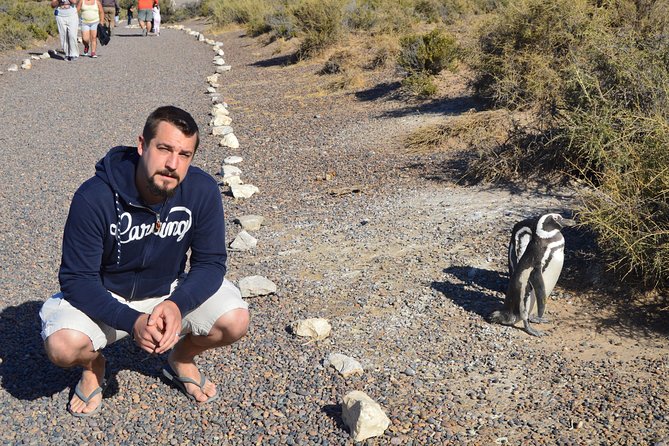 Punta Tombo Tour, the Penguin Experience - What can go wrong, and how to protect your day