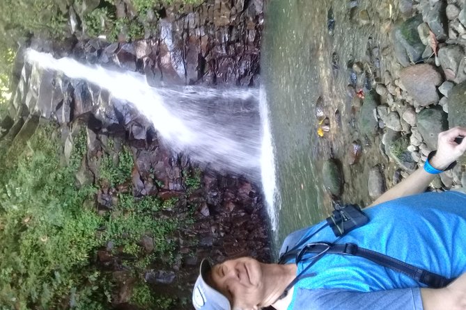 Rain forest and Bird watching - A waterfall or Marigot Bay beach swim