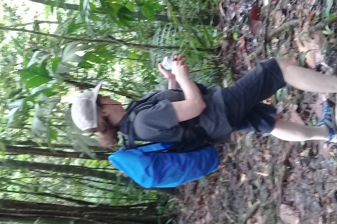 Rain forest and Bird watching - What the $65 price includes