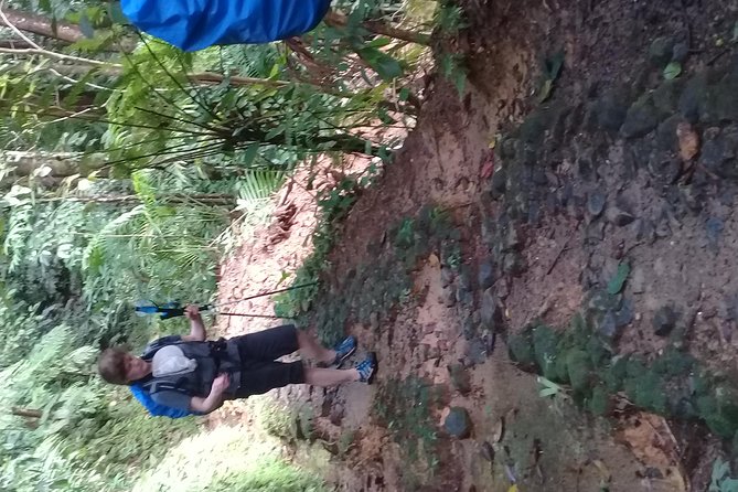 Rain forest and Bird watching - Pickup, timing, and the one serious warning