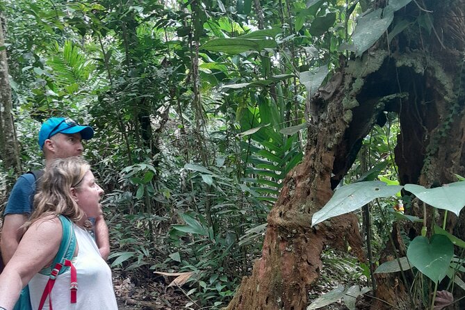 Rain forest and Bird watching - Who will enjoy this half-day outing