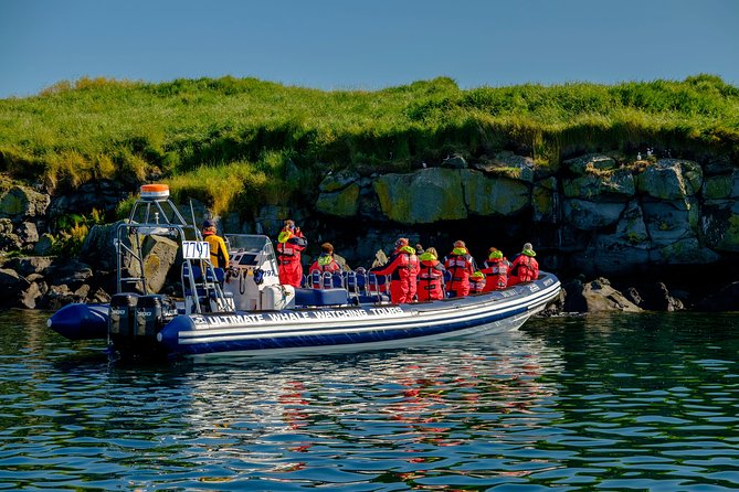 Reykjavik Premium Puffin tour | Close Up and Personal - Warm suits, binoculars, and what to wear