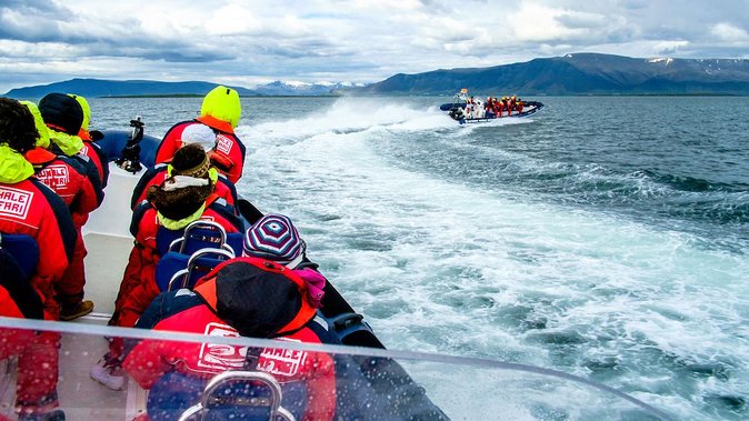 Reykjavik Premium Puffin tour | Close Up and Personal - How rough is the ride?
