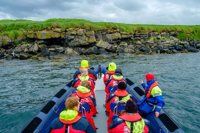 Reykjavik Premium Puffin tour | Close Up and Personal - Who should book this puffin trip?