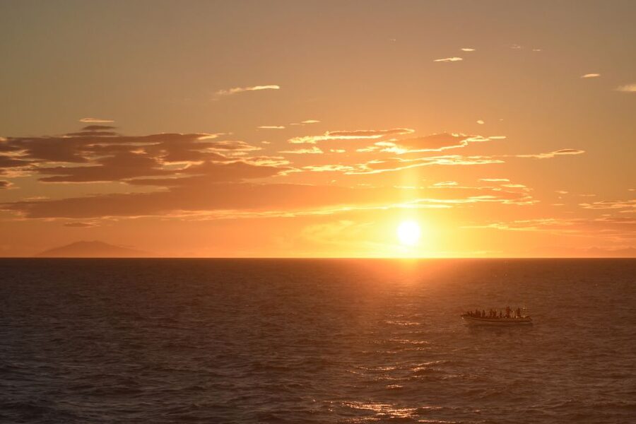 Reykjavik: Premium Whale and Puffin Watching Evening Tour - Why an Evening Cruise Works So Well in Reykjavík