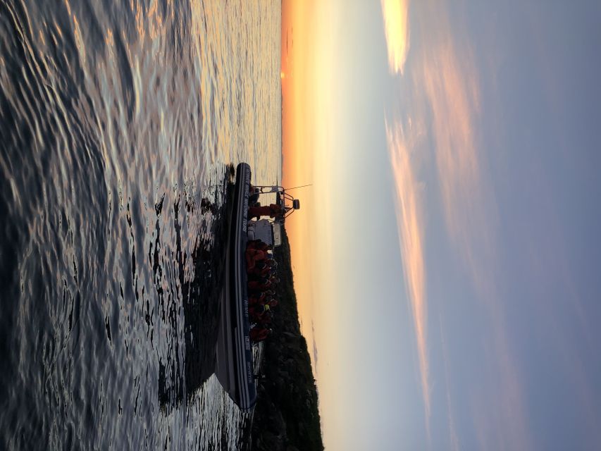 Reykjavik: Premium Whale and Puffin Watching Evening Tour - The Return Along Reykjavík’s Waterfront