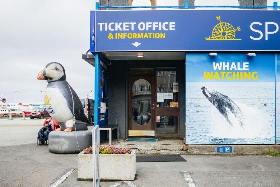 Reykjavik: Puffin Watching Boat Tour - Who should book this Reykjavik puffin trip?