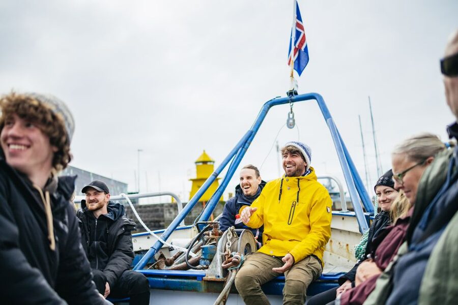 Reykjavik: Puffin Watching Boat Tour - More than puffins: the bay’s supporting cast