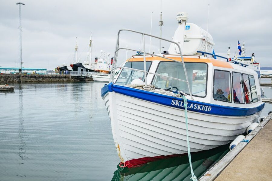 Reykjavik: Puffin Watching Boat Tour - How close will you get to the puffins?