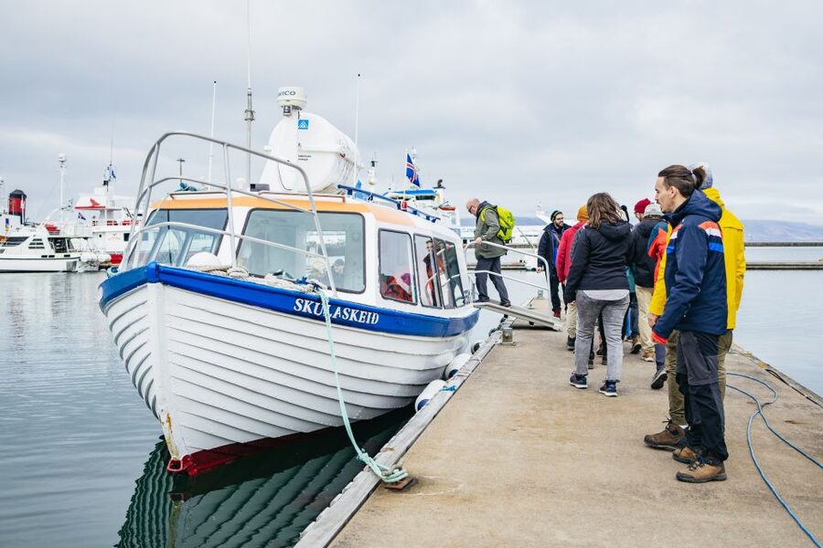 Reykjavik: Puffin Watching Boat Tour - Weather, waves, and hearing the guide