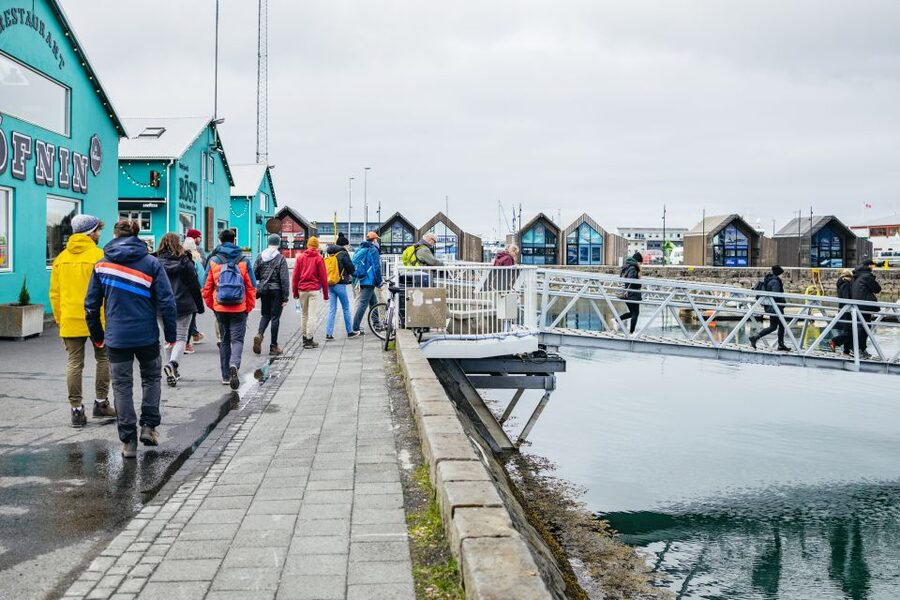 Reykjavik: Puffin Watching Boat Tour - Is one hour long enough?