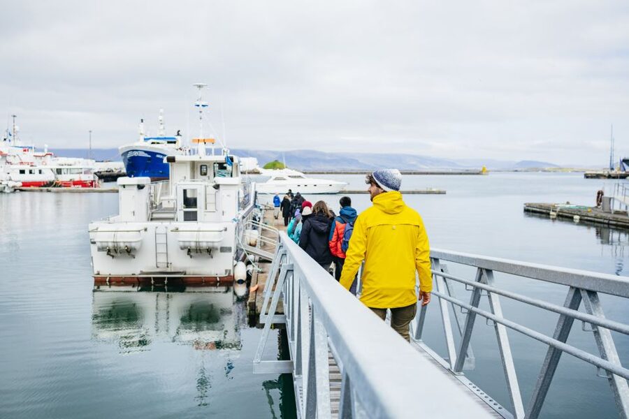 Reykjavik: Puffin Watching Boat Tour - Is $64 a good value?