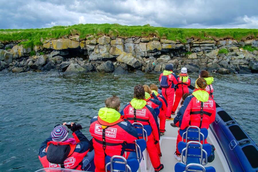 Reykjavik: Puffin Watching Tour - Key points to know before sailing