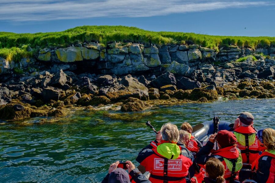 Reykjavik: Puffin Watching Tour - Who should book this puffin tour?
