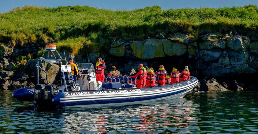 Reykjavik: Puffin Watching Tour - The short crossing to Reykjavík’s puffin islands