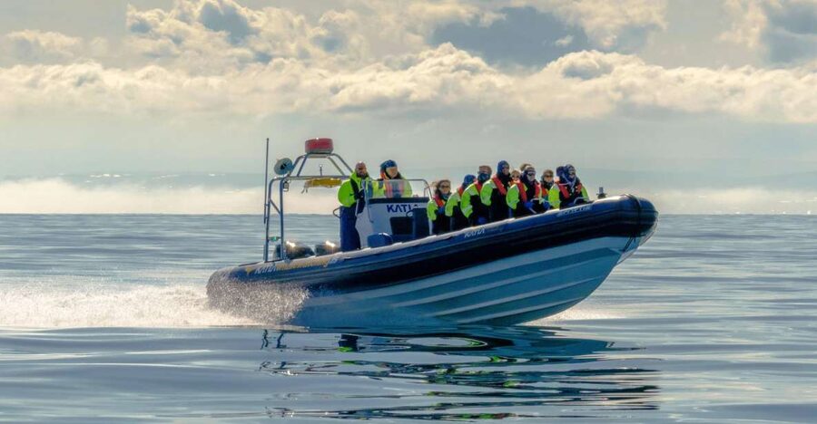 Reykjavík: RIB Speed-Boat Puffin Watching Tour - What the island visits feel like