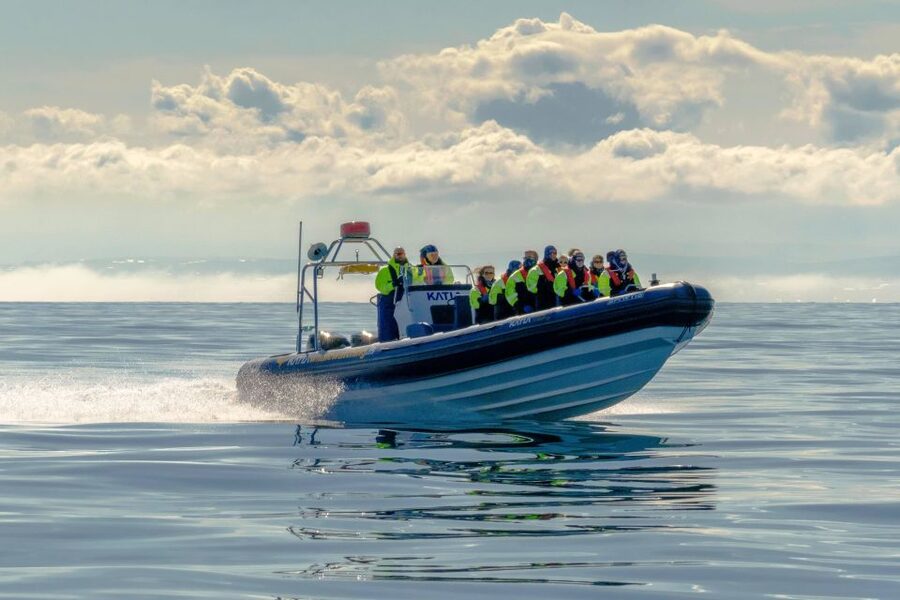 Reykjavík: RIB Speed-Boat Puffin Watching Tour - Puffin photography from a moving boat
