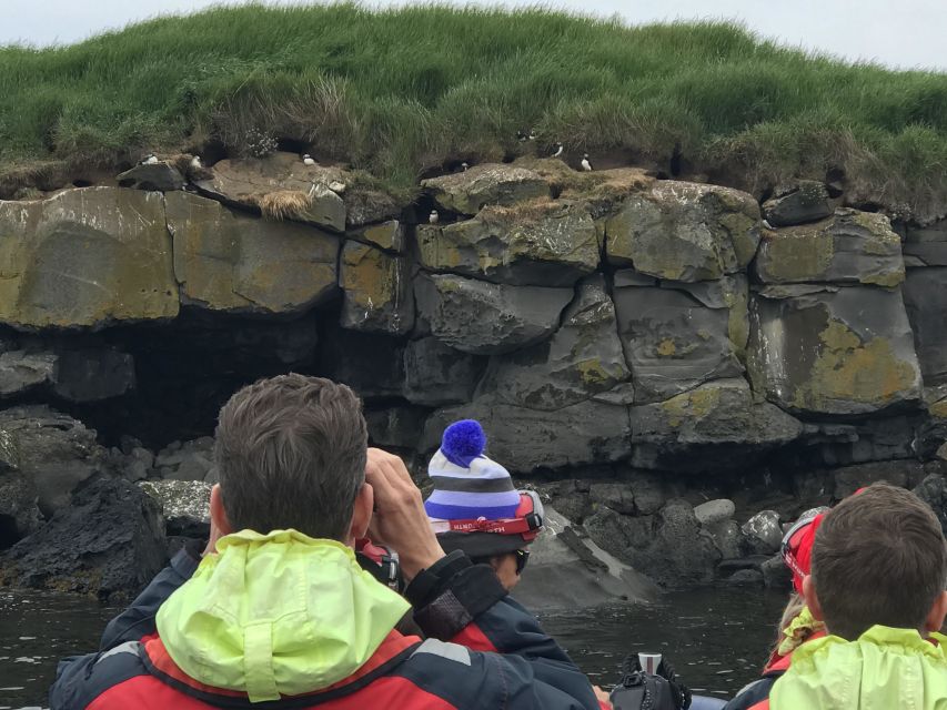 Reykjavík: RIB Speed-Boat Puffin Watching Tour - A one-hour schedule with little wasted time