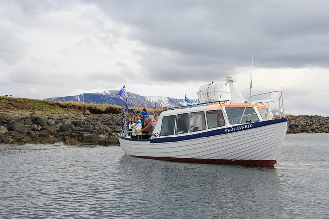 Reykjavik Shore Excursion: Puffin Sightseeing Cruise - The short ride to Akurey Island