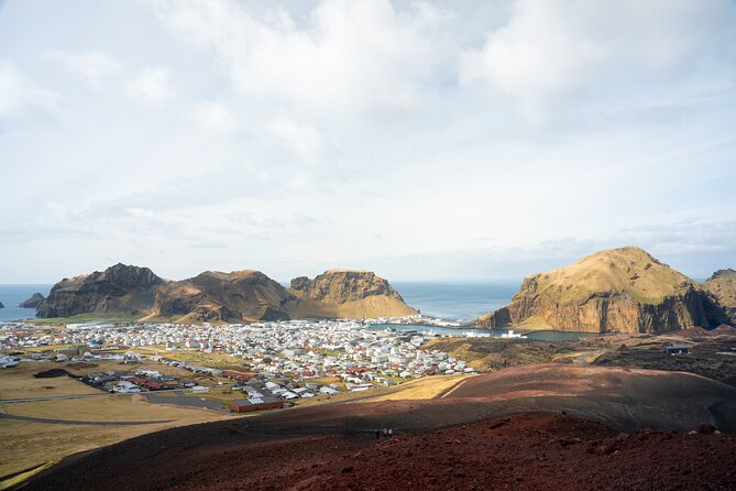 Reykjavík: Westman Islands, Volcanoes and Puffins Minibus Tour - Eldheimar Museum and the eruption of 1973