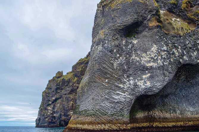 Reykjavík: Westman Islands, Volcanoes and Puffins Minibus Tour - Free time around Vestmannaeyjar and the harbor