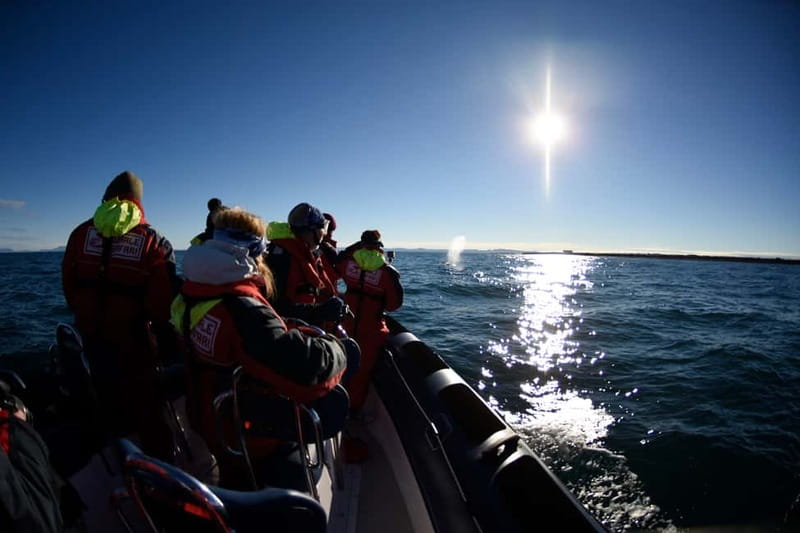 Reykjavik: Whale and Puffin Watching RIB Boat Tour - What the two-hour timing really means