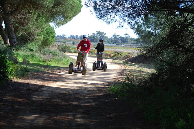 Ria Formosa Natural Park Birdwatching Segway Tour from Faro - Starting near Faro Airport and learning the Segway