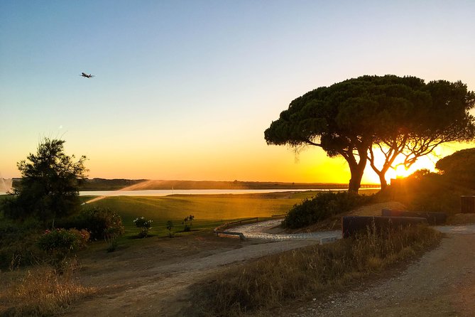 Ria Formosa Natural Park Birdwatching Segway Tour from Faro - Quinta do Lago adds villas, golf, and a change of mood
