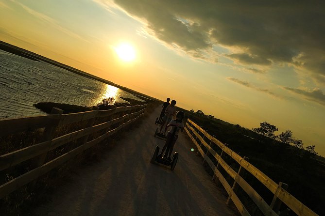 Ria Formosa Natural Park Birdwatching Segway Tour from Faro - The guides make the biggest difference