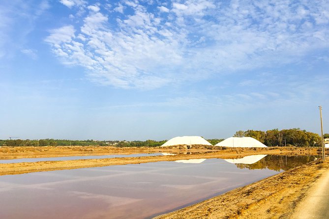 Ria Formosa Natural Park Birdwatching Segway Tour from Faro - Who will enjoy this most?