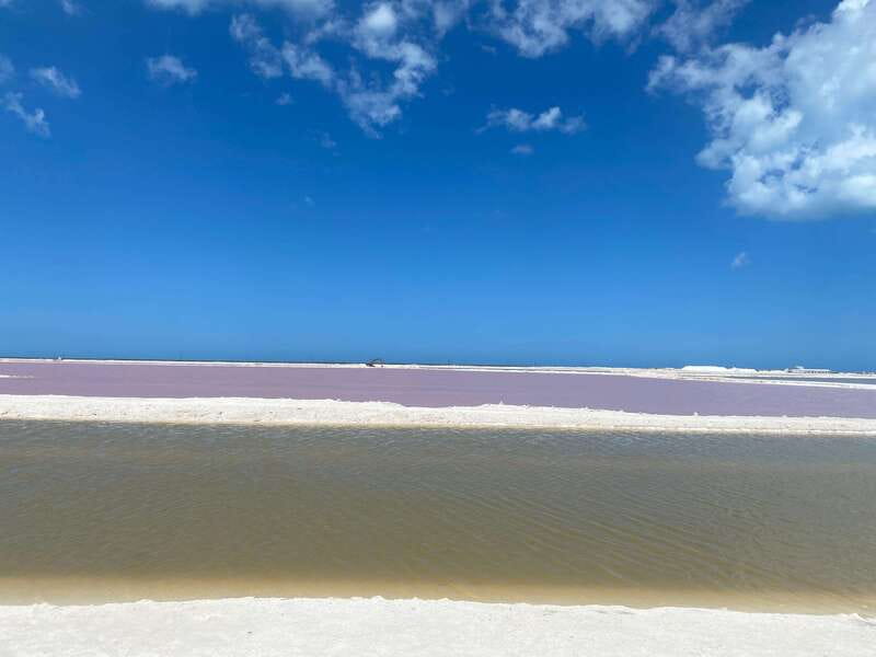 Rio Lagartos and Las Coloradas: EcoSafari Flamingo classic - Key things to know before you book