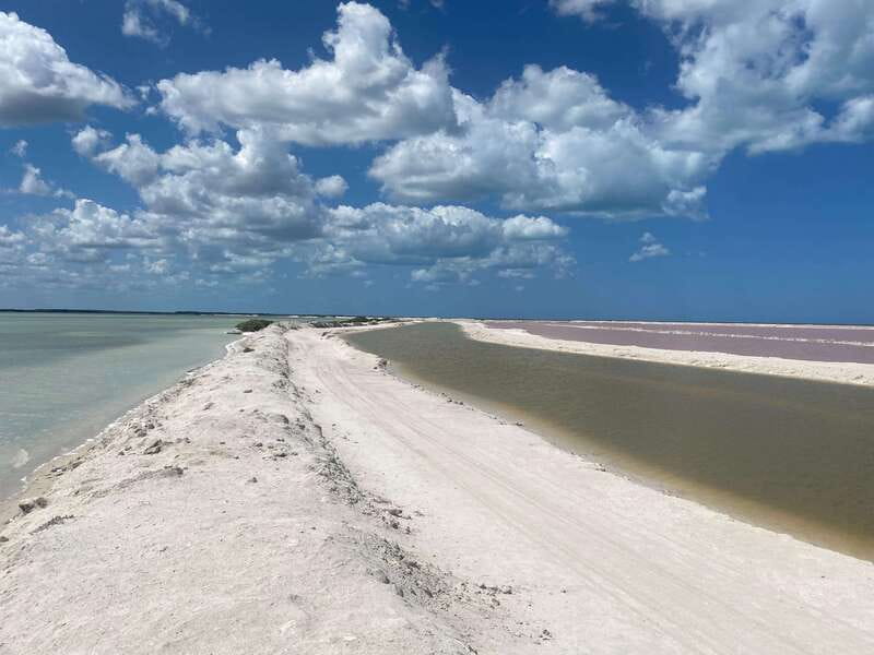 Rio Lagartos and Las Coloradas: EcoSafari Flamingo classic - A private start at Macumba restaurant