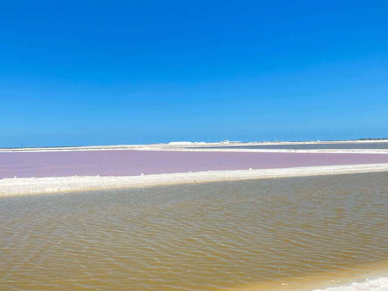 Rio Lagartos and Las Coloradas: EcoSafari Flamingo classic - Who should book this two-hour experience?