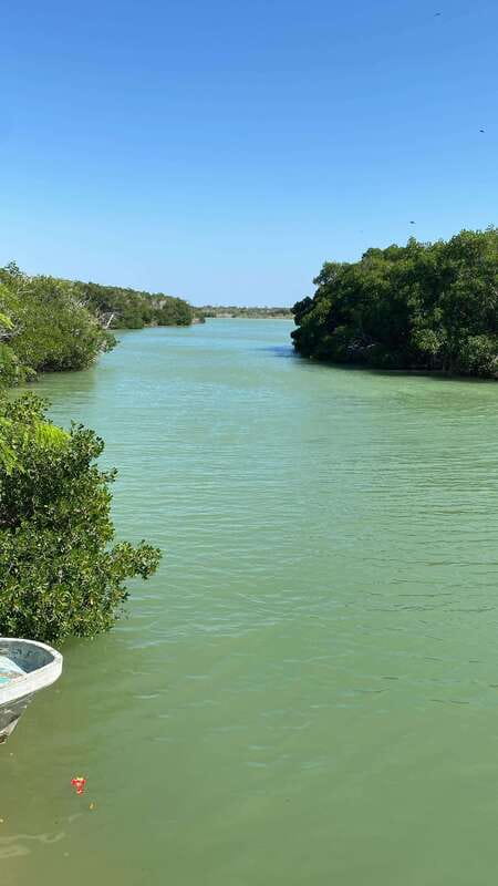 Rio Lagartos and Las Coloradas: Safari Flamingo Luxury - Key points at a glance