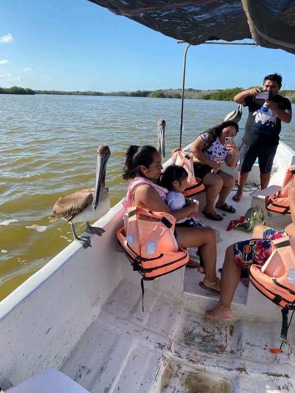 Rio Lagartos and Las Coloradas: Safari Flamingo Luxury - Who should book this private boat trip?