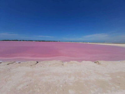 Rio Lagartos and Las Coloradas: Safari Flamingo Luxury