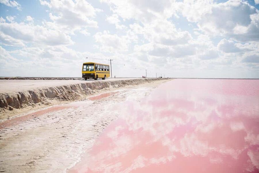 Rio Lagartos and Las Coloradas: Safari Flamingo Luxury - Crocodile watching in the natural reserve