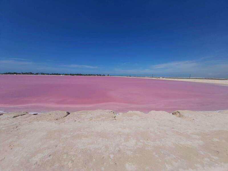 Rio Lagartos and Las Coloradas: Safari Flamingo Luxury - Starting at Macumba in Río Lagartos