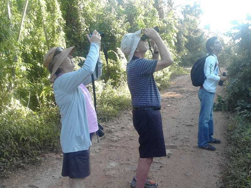 Riviera Maya: Puerto Morelos 4-Hour Bird Watching Tour - The 45-minute break and the food question
